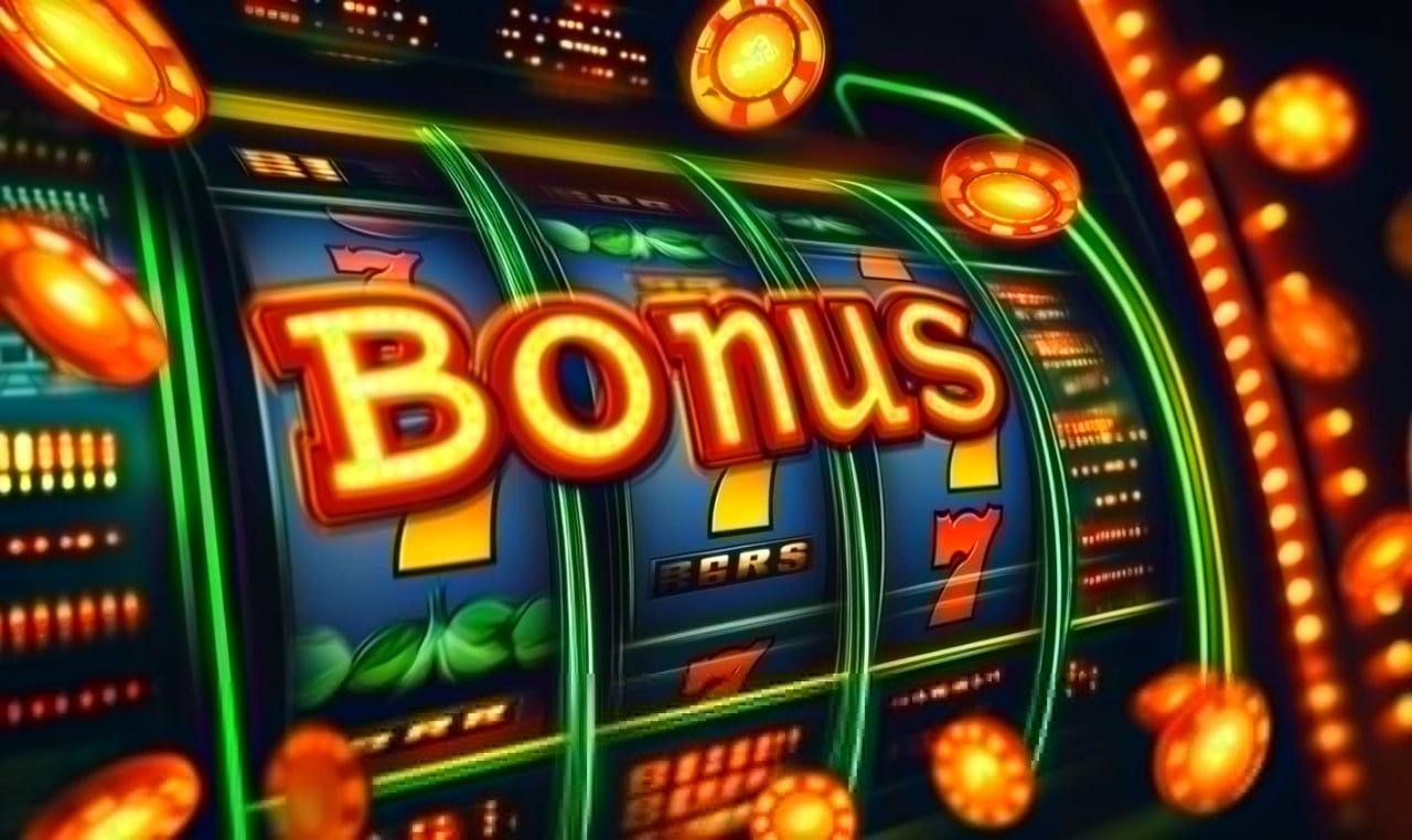 dbbet
